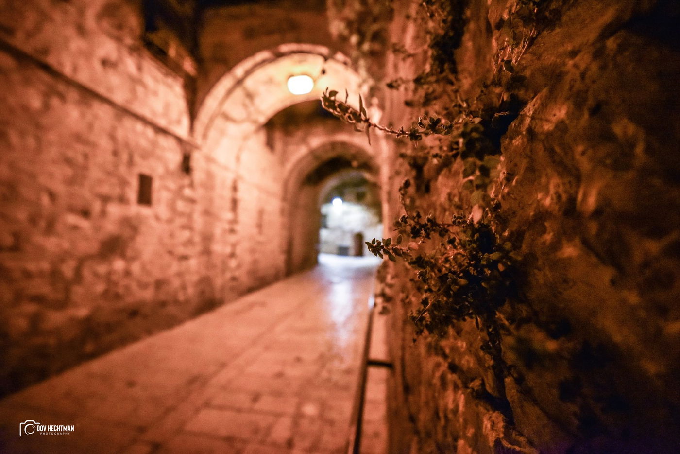 מסע מרתק ומרהיב בירושלים ב-215 תמונות • צפו