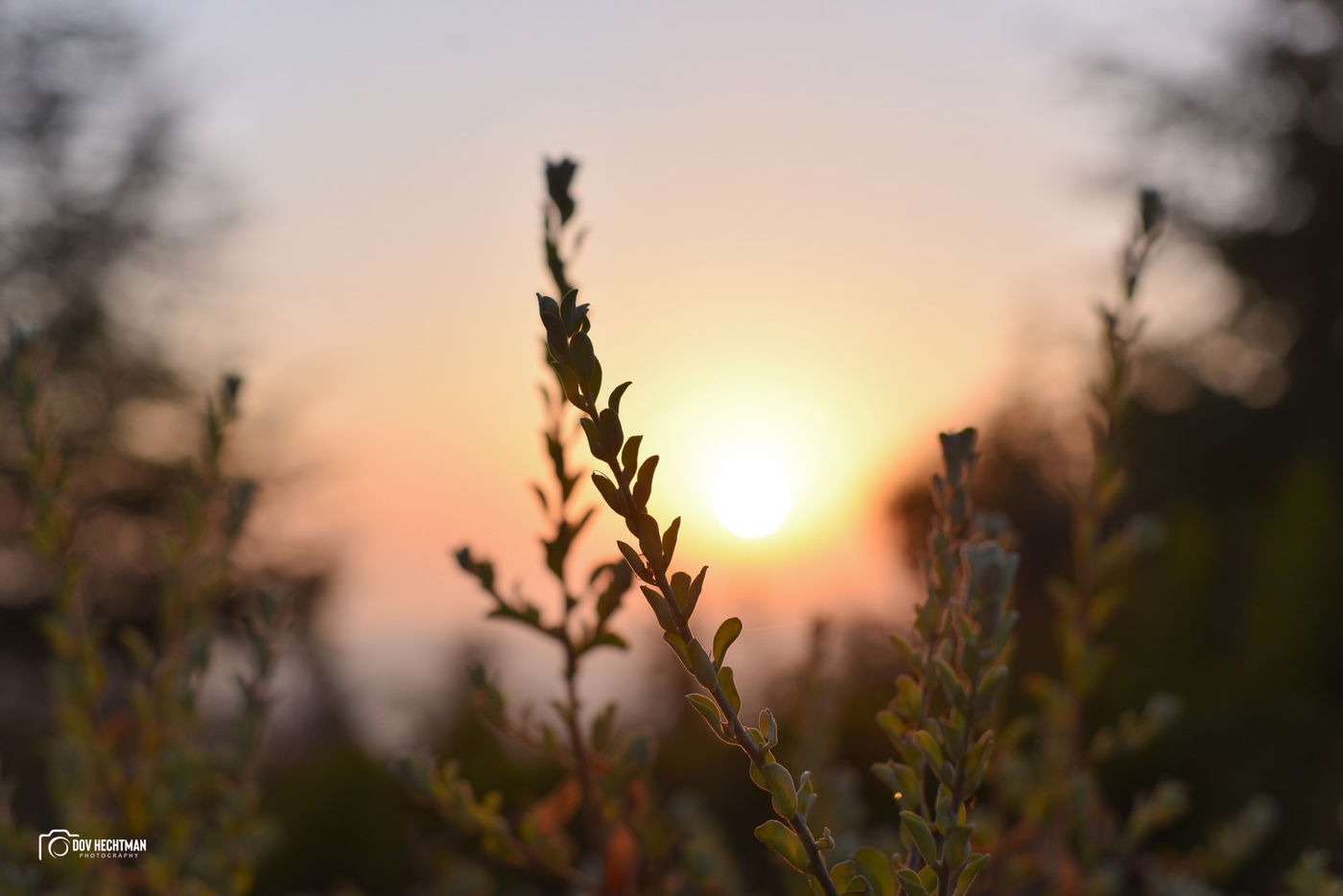מסע מרתק ומרהיב בירושלים ב-215 תמונות • צפו