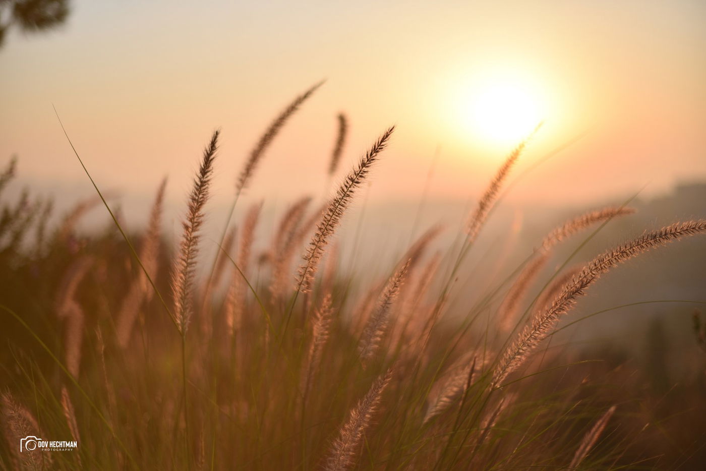 מסע מרתק ומרהיב בירושלים ב-215 תמונות • צפו