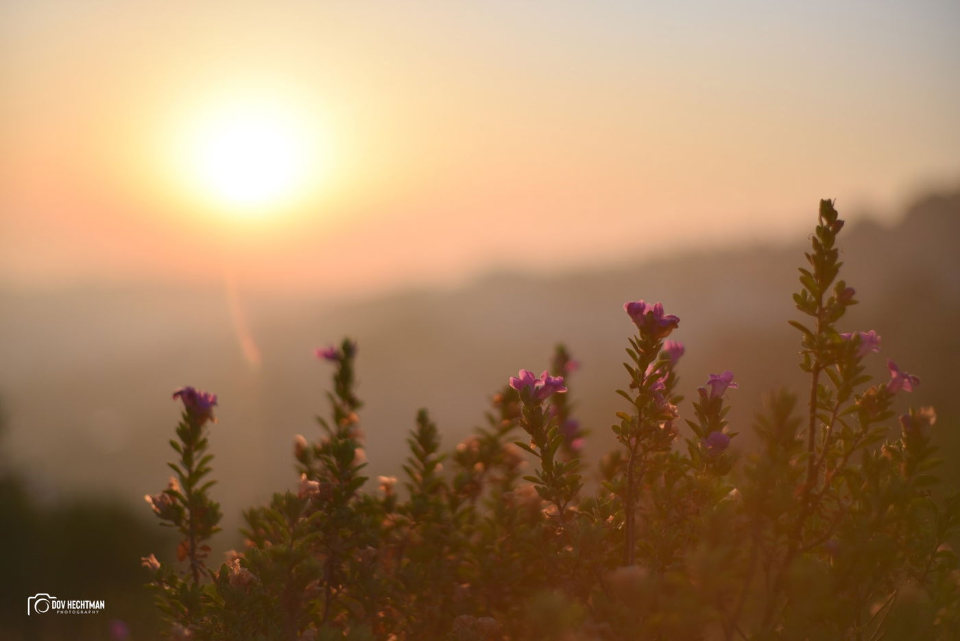 מסע מרתק ומרהיב בירושלים ב-215 תמונות • צפו