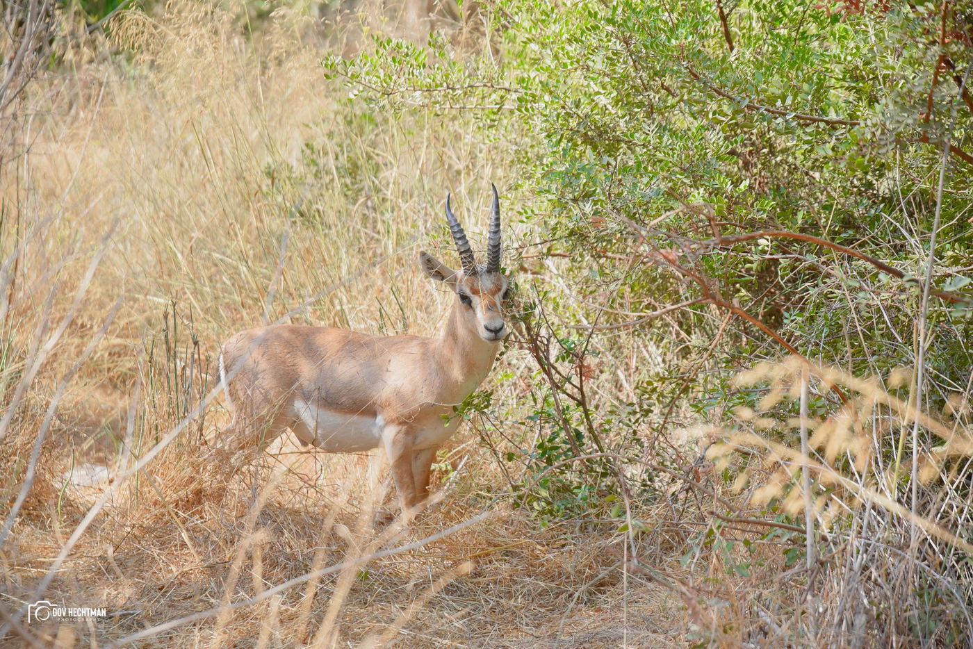 מסע מרתק ומרהיב בירושלים ב-215 תמונות • צפו