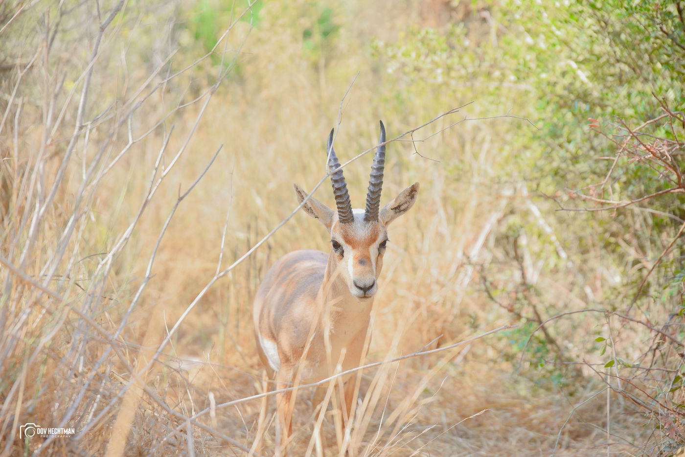 מסע מרתק ומרהיב בירושלים ב-215 תמונות • צפו