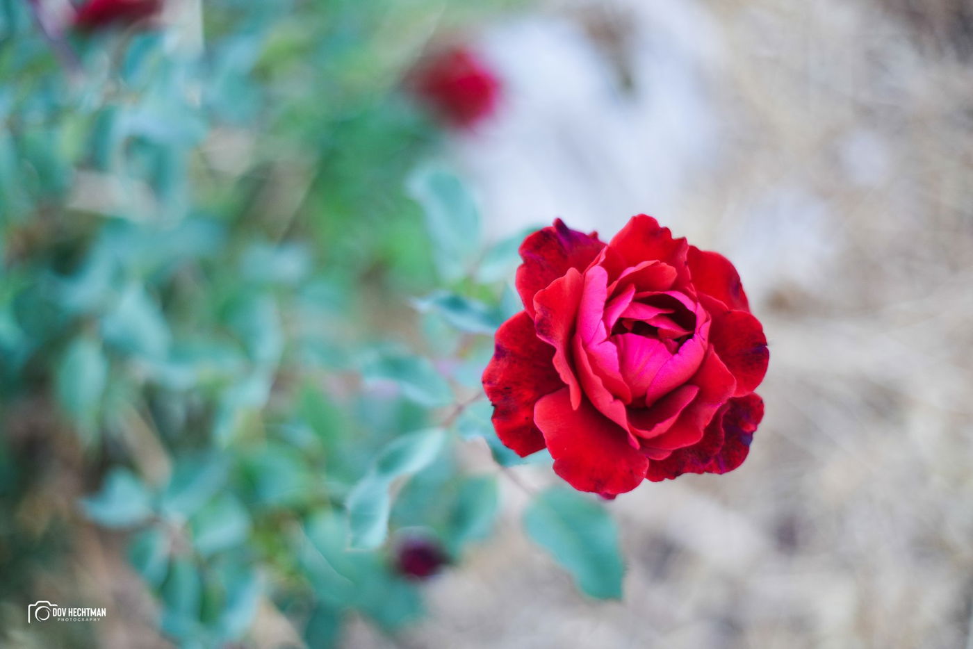 מסע מרתק ומרהיב בירושלים ב-215 תמונות • צפו