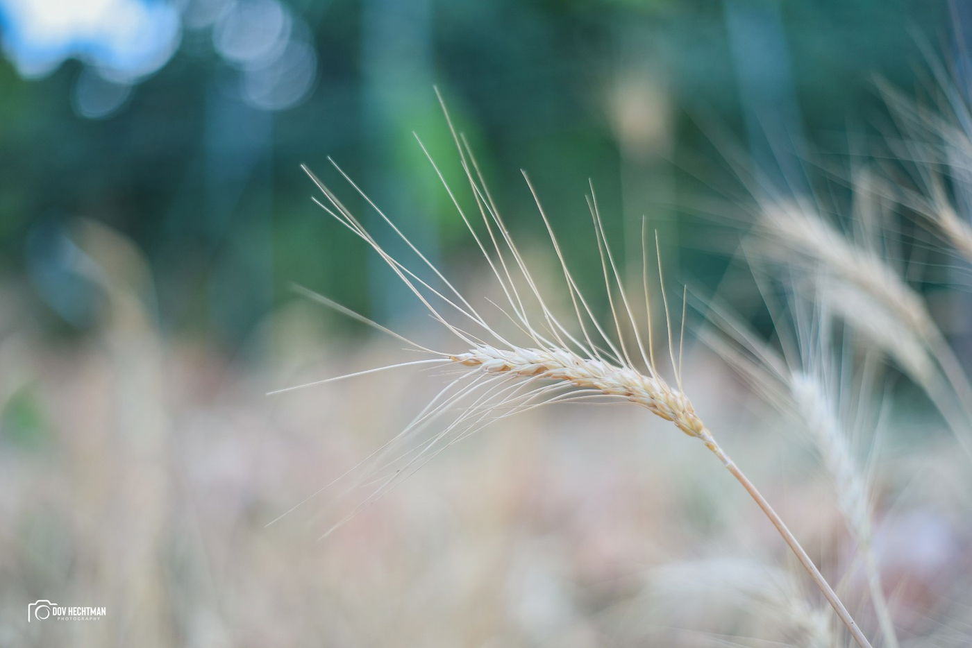 מסע מרתק ומרהיב בירושלים ב-215 תמונות • צפו