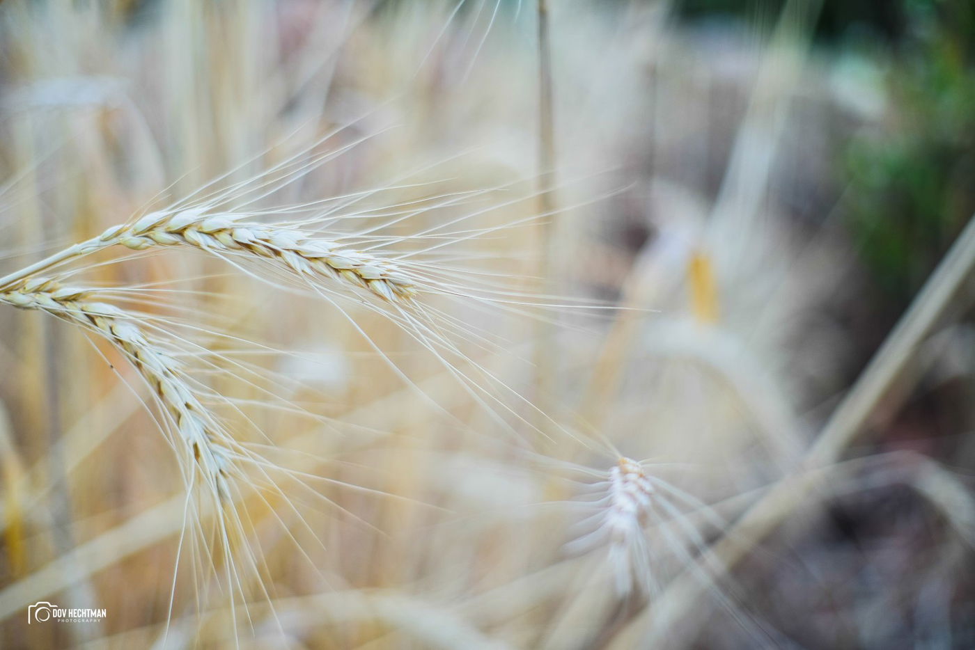 מסע מרתק ומרהיב בירושלים ב-215 תמונות • צפו