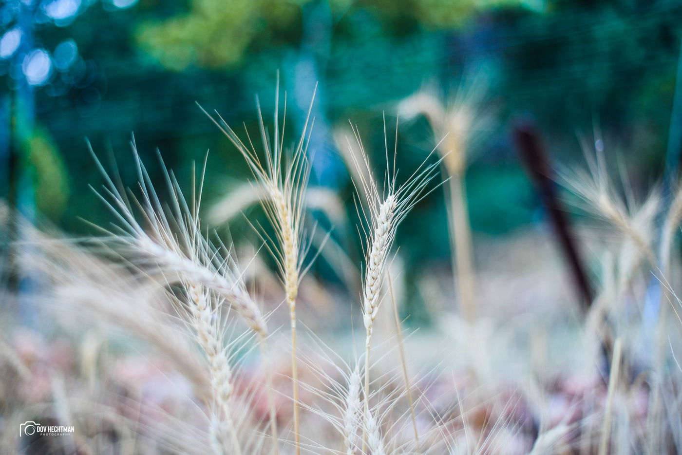 מסע מרתק ומרהיב בירושלים ב-215 תמונות • צפו