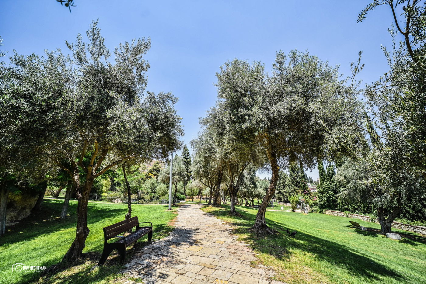 מסע מרתק ומרהיב בירושלים ב-215 תמונות • צפו