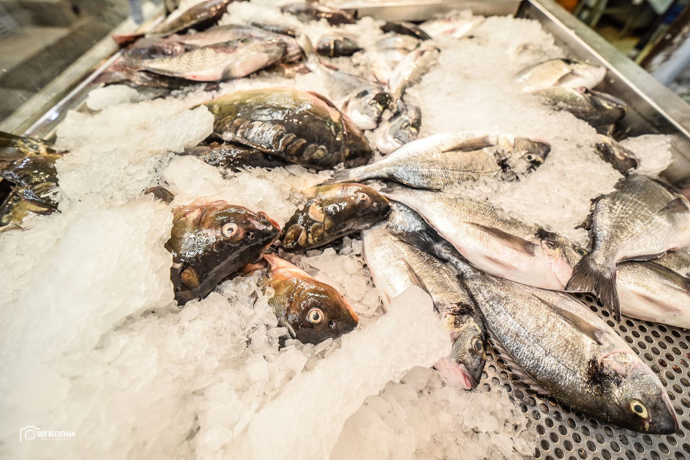 מסע מרתק ומרהיב בירושלים ב-215 תמונות • צפו