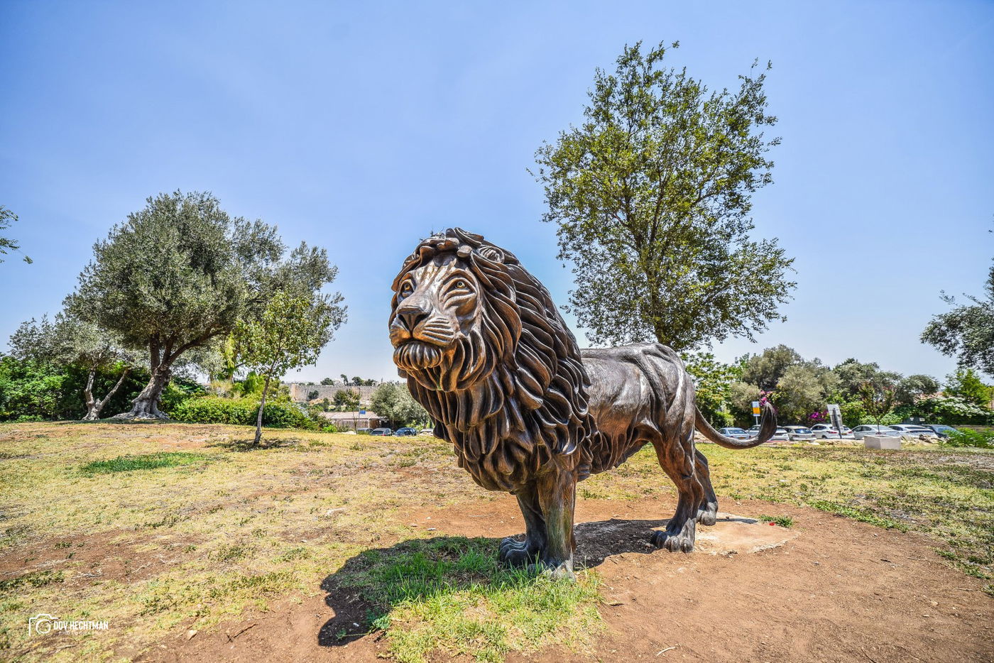 מסע מרתק ומרהיב בירושלים ב-215 תמונות • צפו