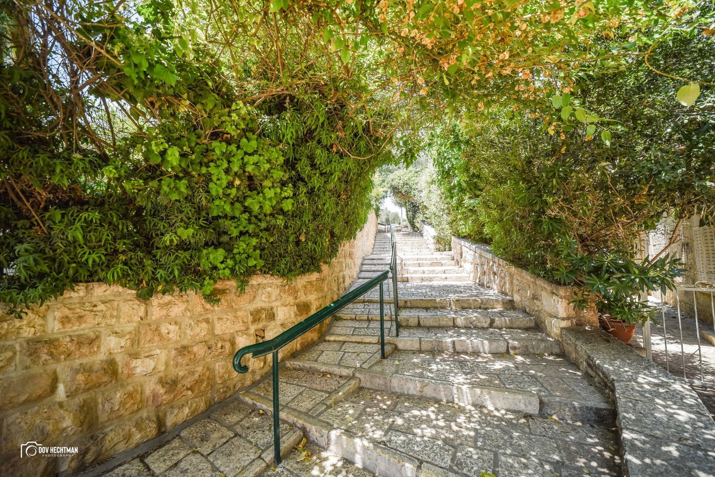 מסע מרתק ומרהיב בירושלים ב-215 תמונות • צפו