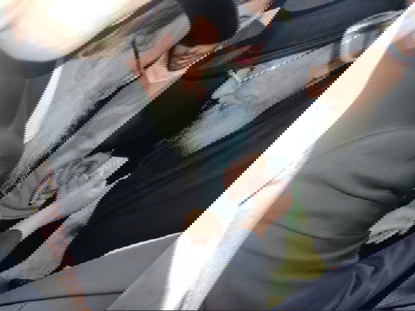 זופניק בכיכר • כל התמונות והנייעס של השבוע