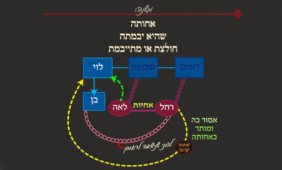יבמות כ' • סיכום והמחשה של הדף היומי