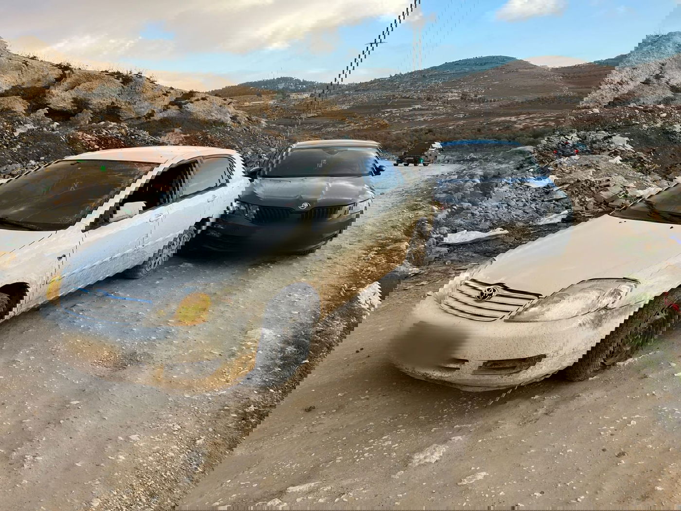 גנב הרכבים נתפס כשהוא מתחבא על העץ