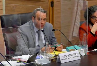 גלעד קריב בדיון בוועדה
