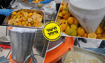 כך סוחטים מאות לימונים - בפעם אחת • צפו בתיעוד