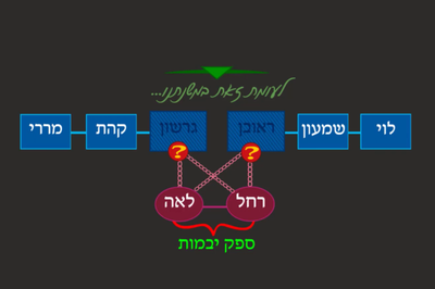 יבמות כ"ג • סיכום והמחשה של הדף היומי