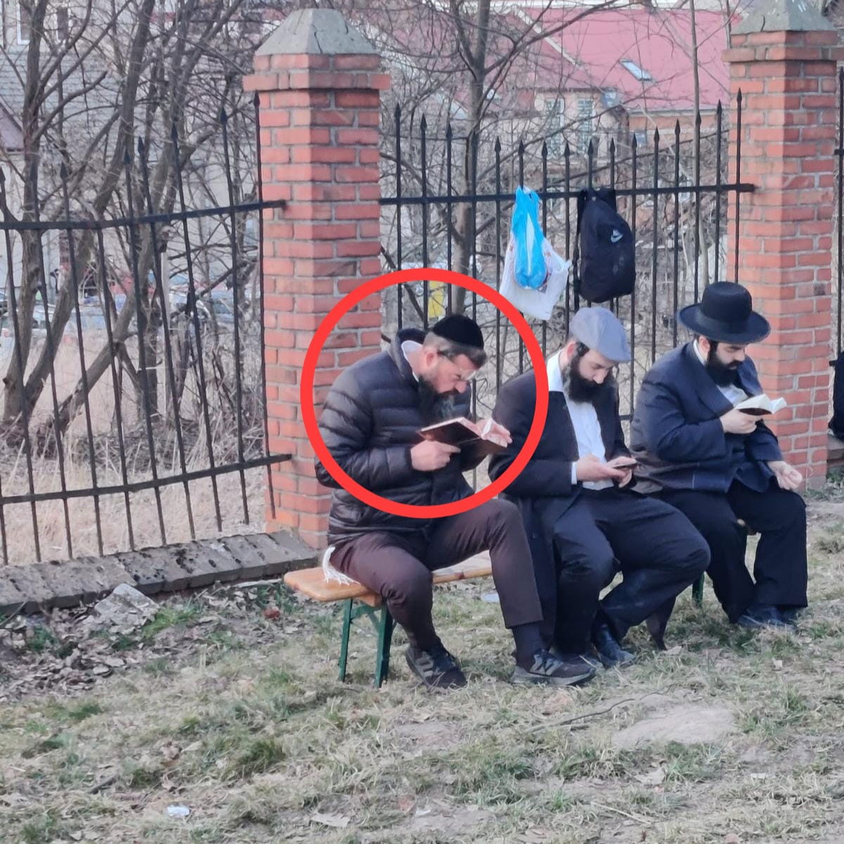 זופניק בכיכר • כל התמונות והנייעס של השבוע