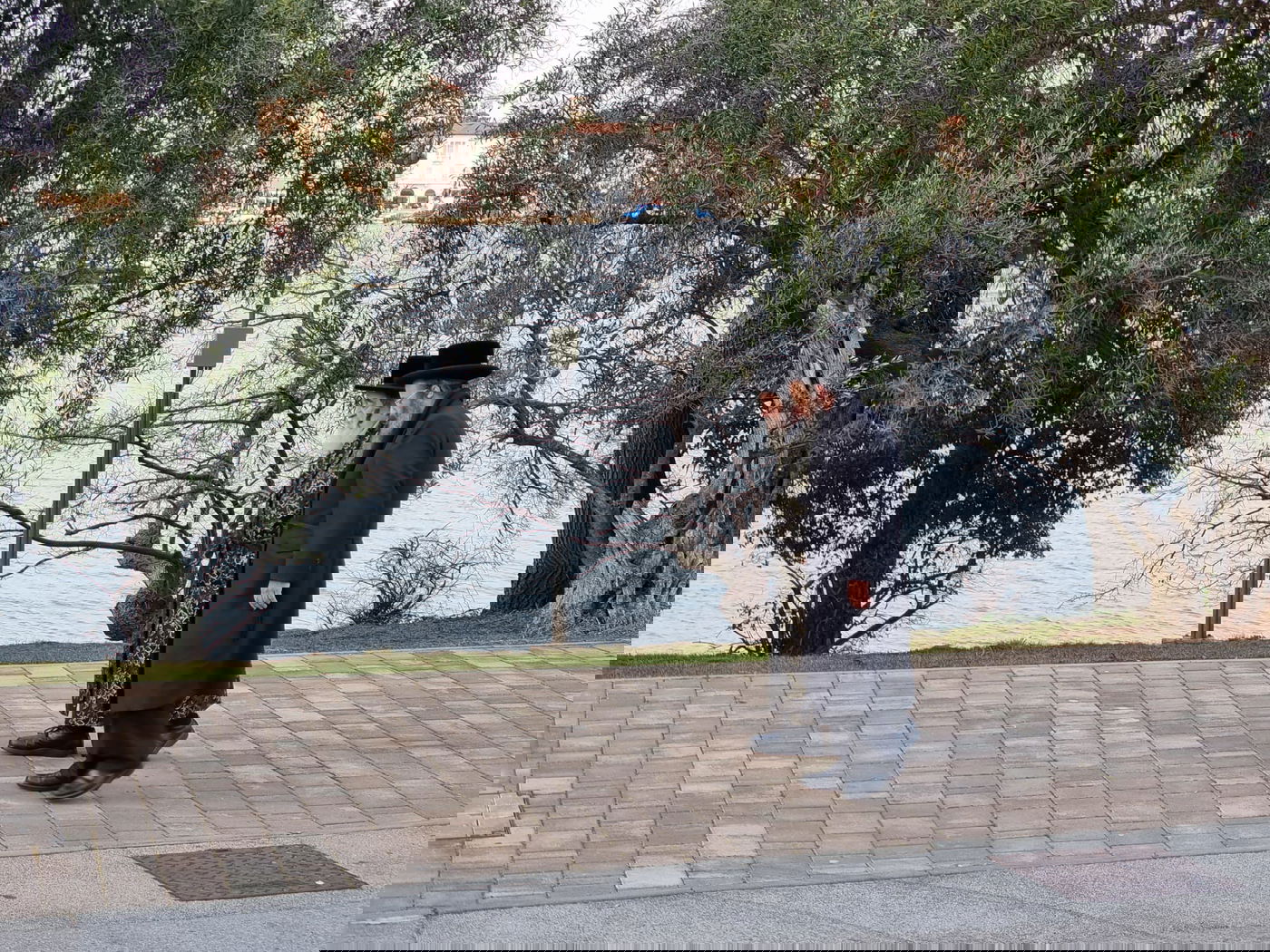 כך נראה האי בקרואטיה שיארח את האדמו"ר והנגידים