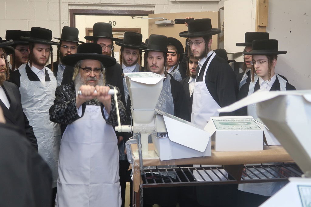 טחינת החיטה למצות