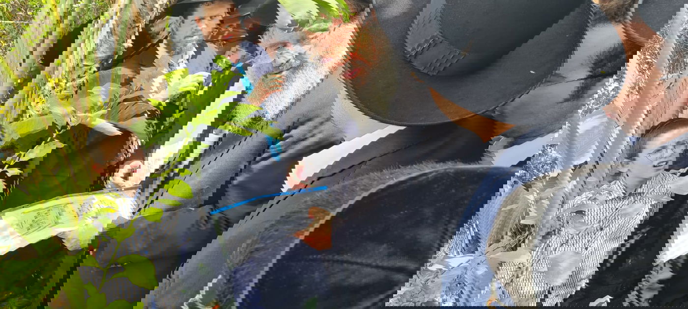 הגר"ד כהן בירך ברכת האילנות באלעד; צפו