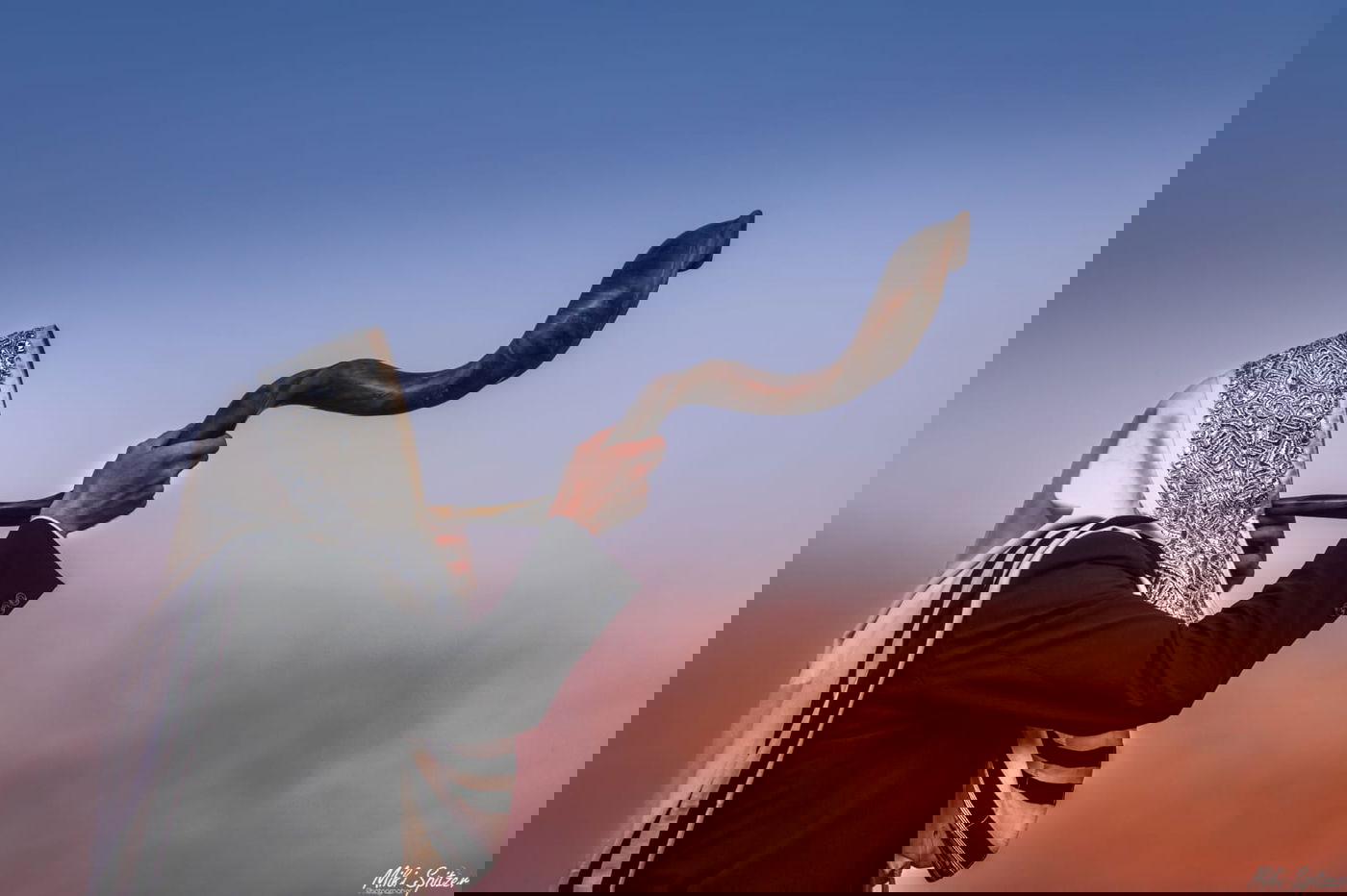 התמונה המקורית