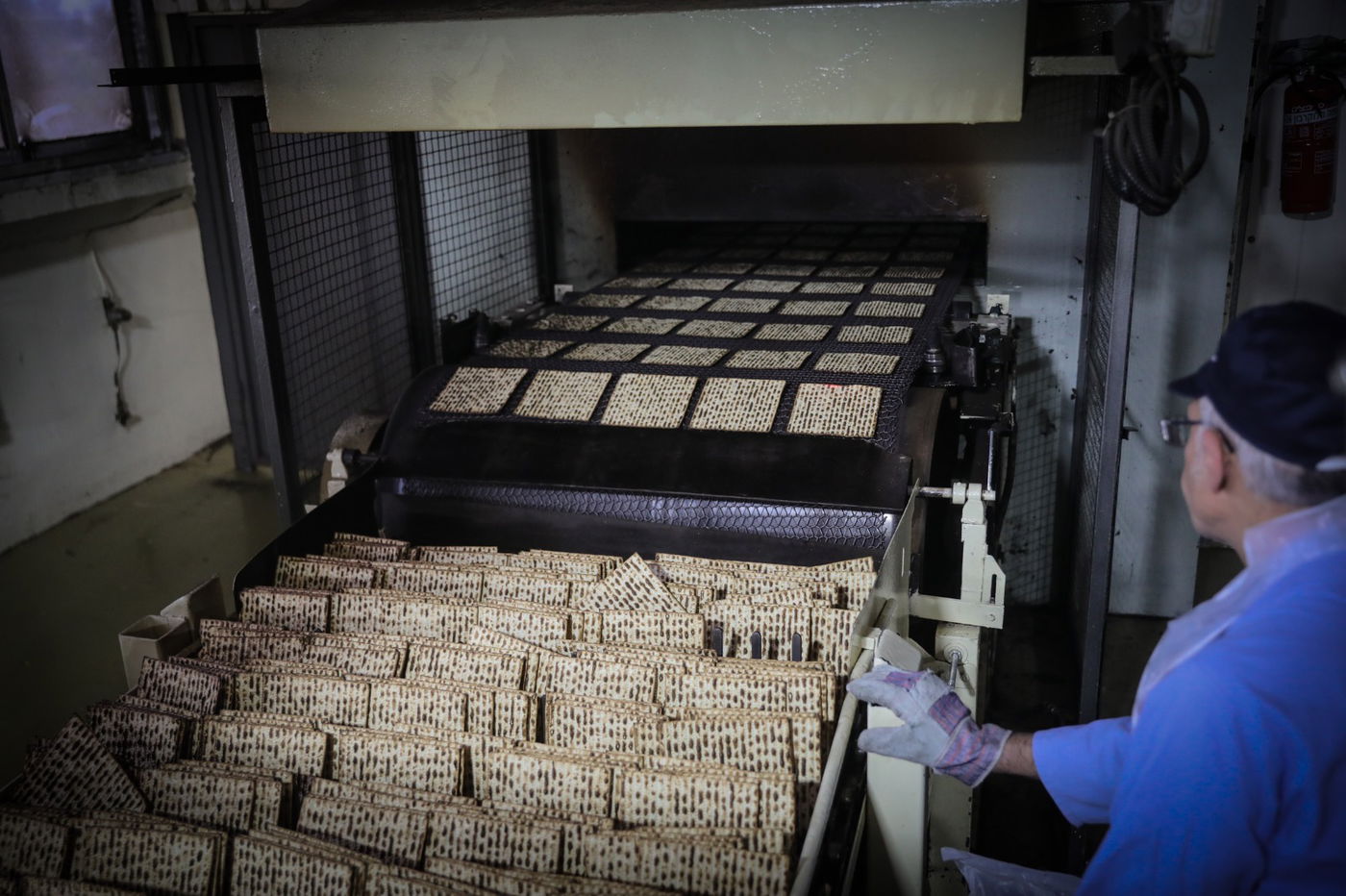 איך מכינים מצות מכונה? • שלב אחר שלב