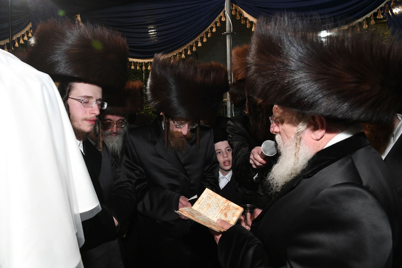 שמחת החתונה בחצרות שאץ - חוסט