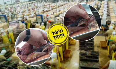 לא תאמינו: מה התגלה בתוך המעיים של דג הטונה? • צפו