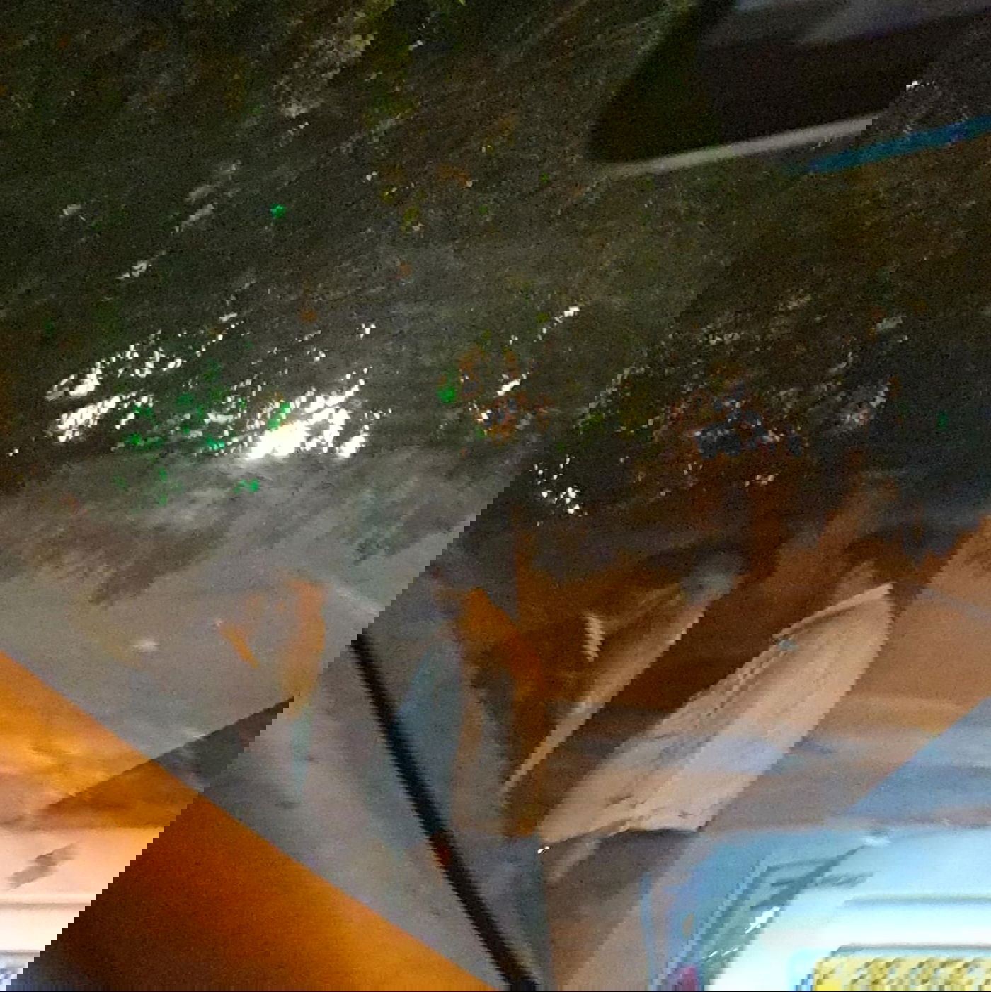 זופניק בכיכר • כל התמונות והנייעס של השבוע