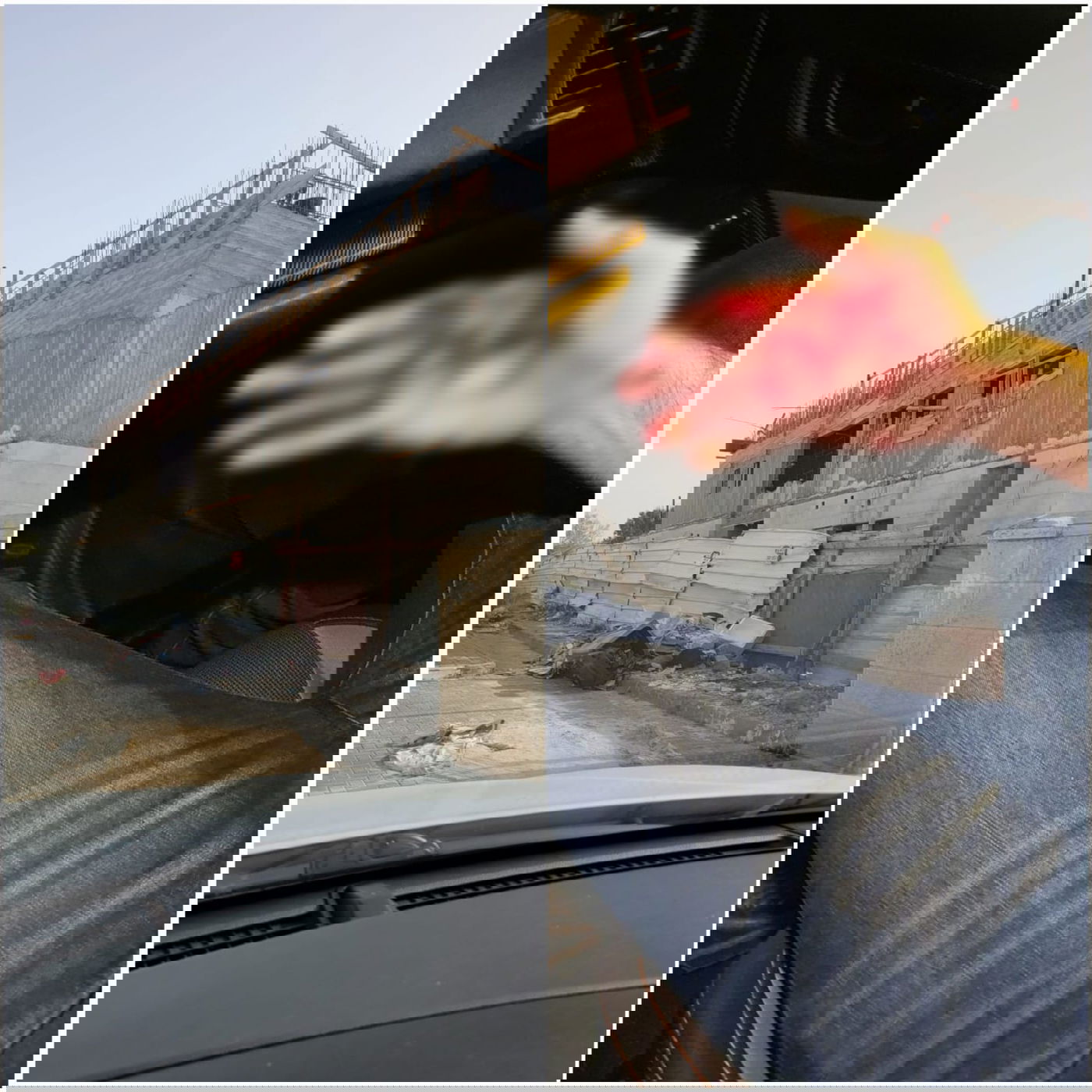 זופניק בכיכר • כל התמונות והנייעס של השבוע