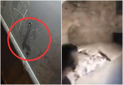 הפרעות בשכם