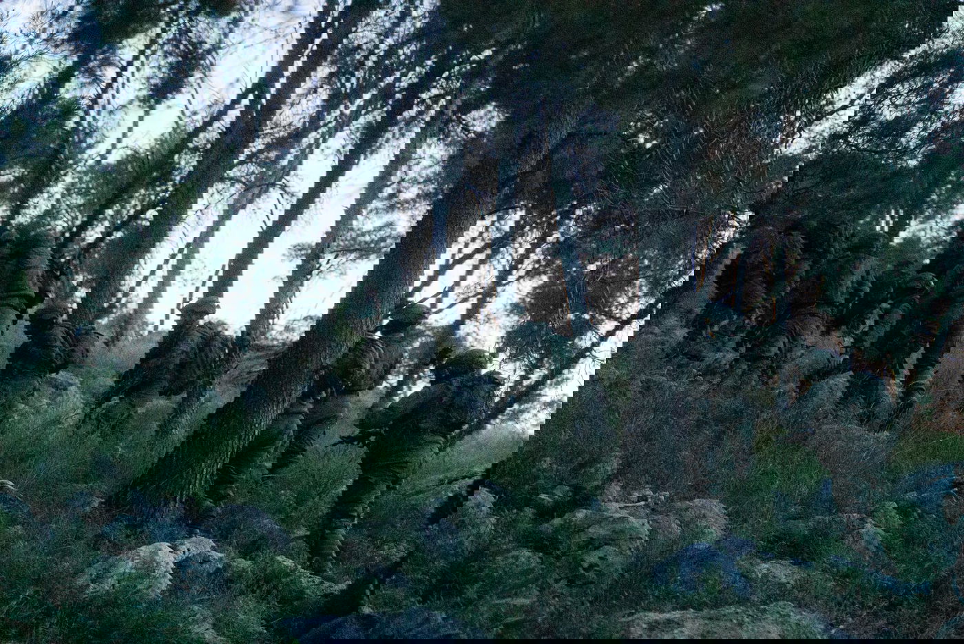 צה"ל עצר 18 חשודים והשיב באש למהומות