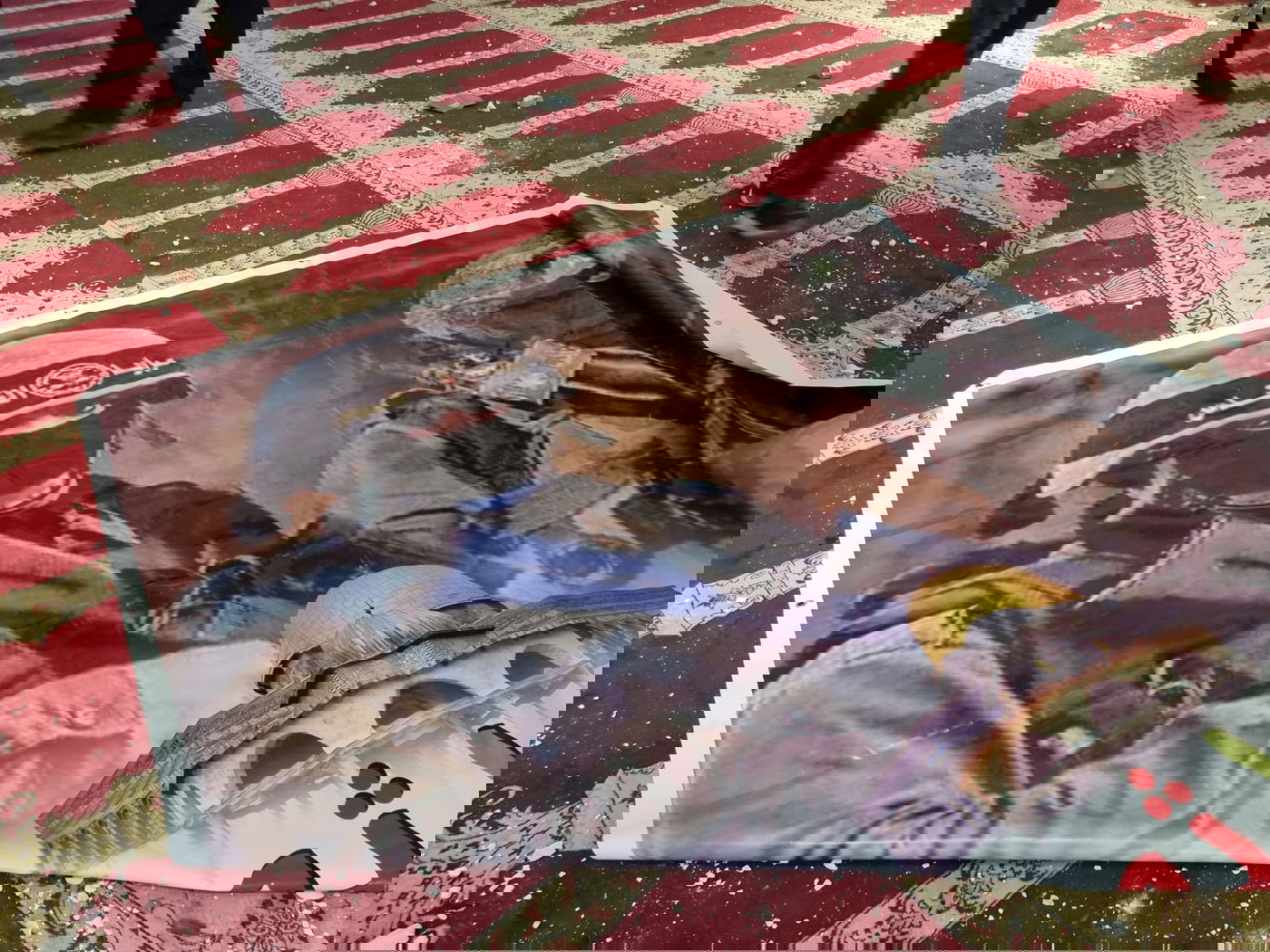 המשטרה עצרה מאות פורעים ערבים במהומות בהר הבית