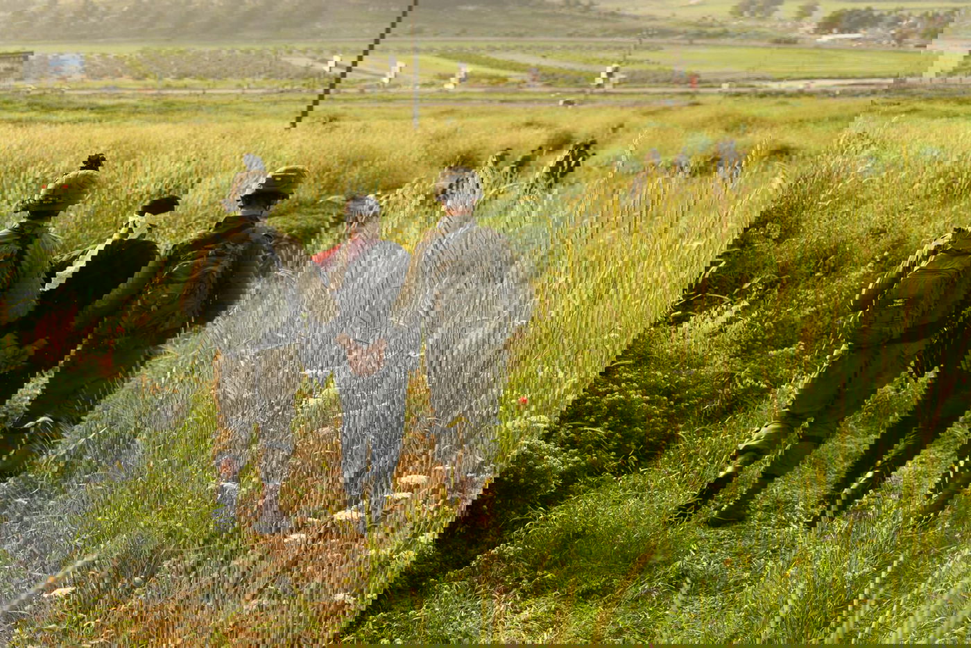 אילוסטרציה, ארכיון