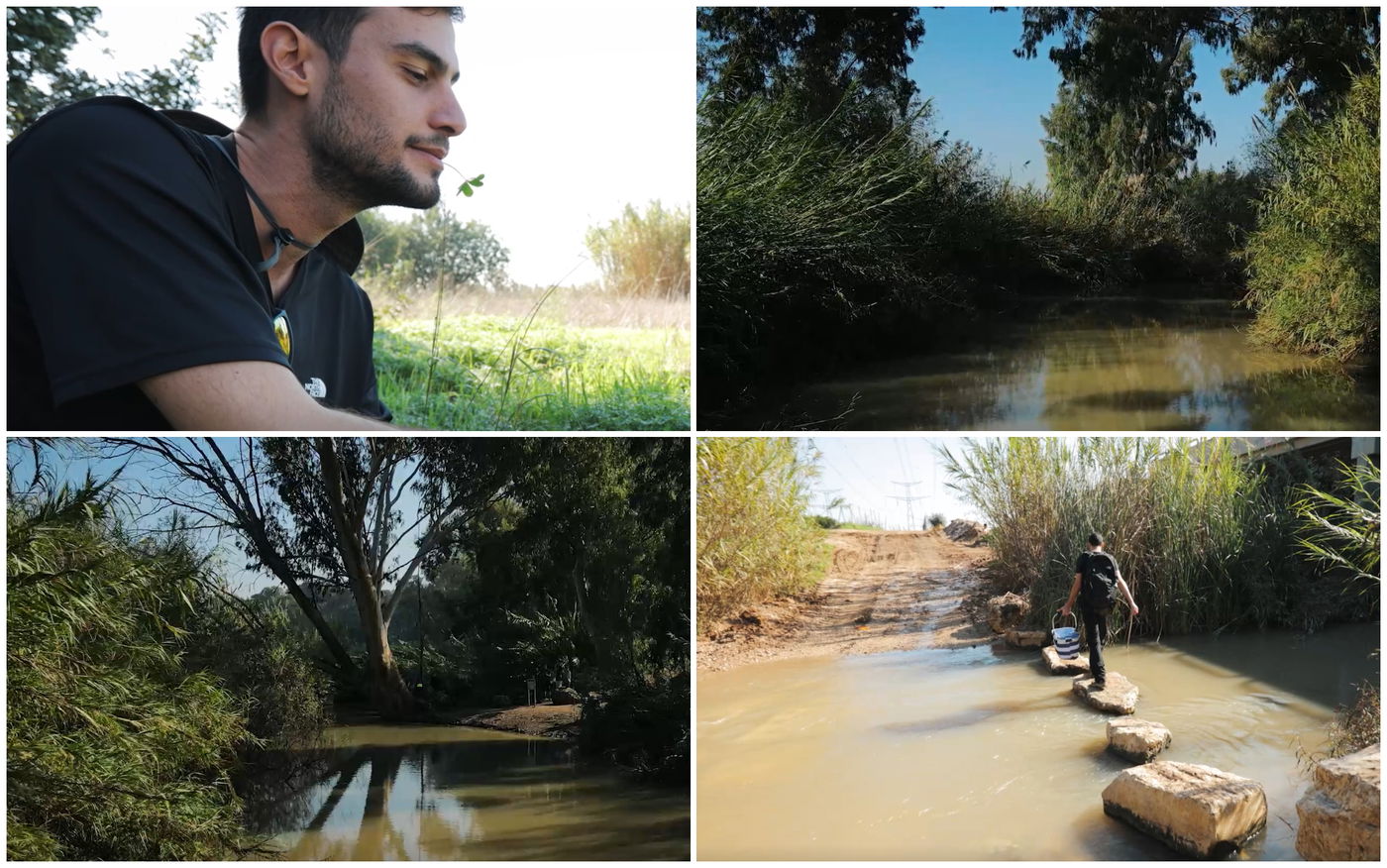 צל, אופניים והליכה ליד הבית? המומחה המליץ