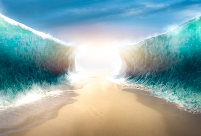 הייתם קופצים לים סוף? // הרב אבי אברהם