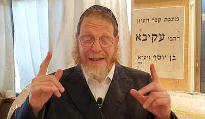 מסכת כלאים; פרק ג', משניות ג'-ד'-ה' • צפו