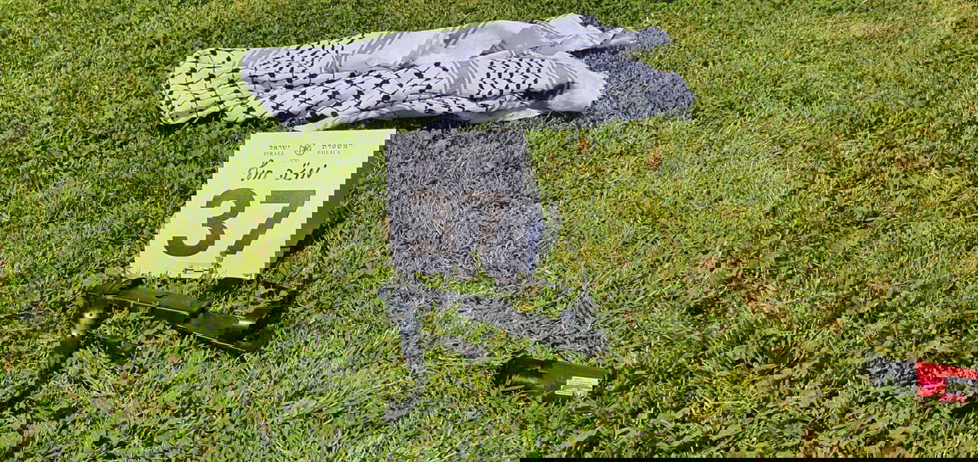 "בהשפעת הרשתות"; בת 15 ביצעה פיגוע