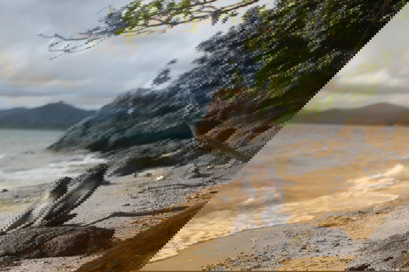 תמונת השבוע: "בין הזמנים" בתאילנד