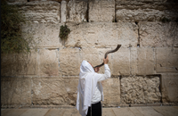 תקיעת שופר בכותל; אילוסטרציה