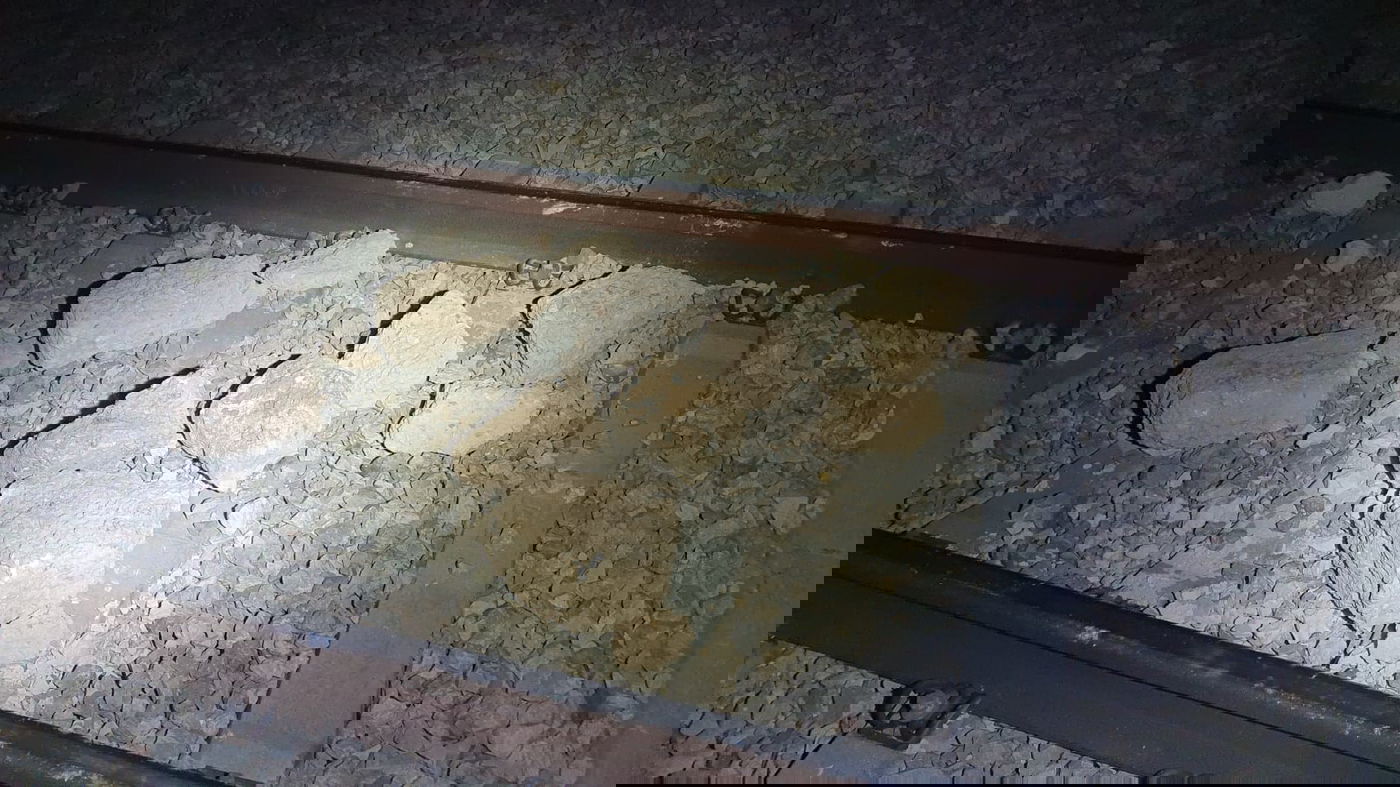 שני קטינים בדואים שניסו לבצע פיגוע ברכבת ישראל נעצרו