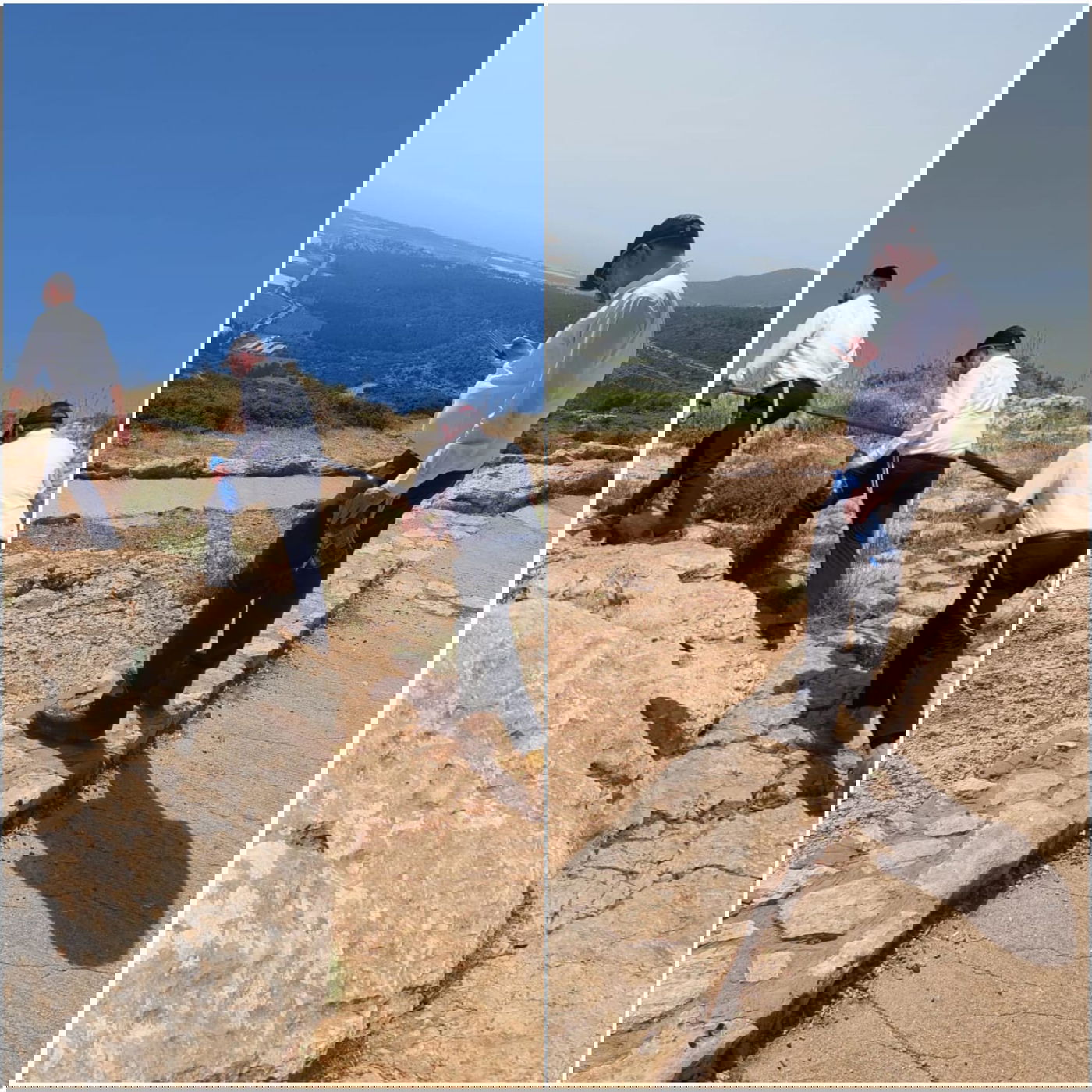 זופניק בכיכר • כל התמונות והנייעס של השבוע ופסח