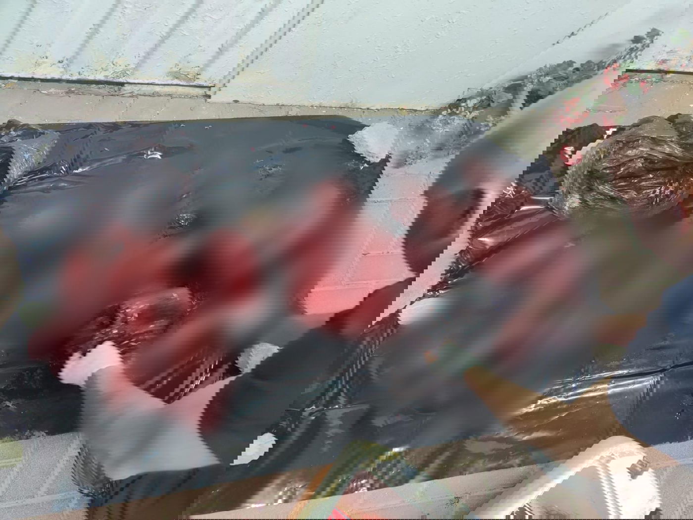 הבלשים תפסו בצידנית: בשר טרי של צבאים - "בסכנת הכחדה"