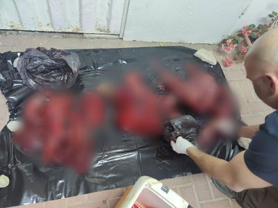 הבשר הטרי שתפסו הבלשים