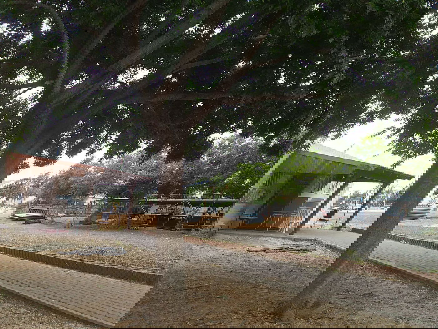 תיעוד מהקמת הבמה סמוך לפתח בית הכנסת