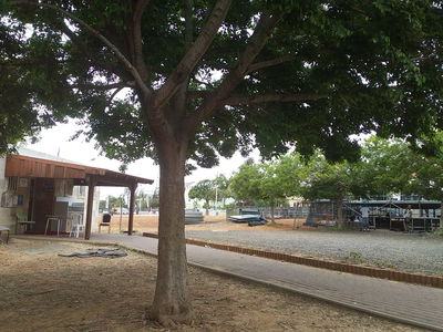 תיעוד מהקמת הבמה סמוך לפתח בית הכנסת