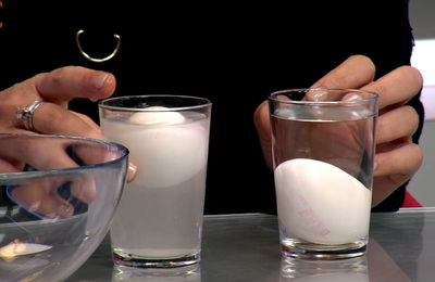 תכנית 'מדענים' לילדים: כשביצה צפה במים