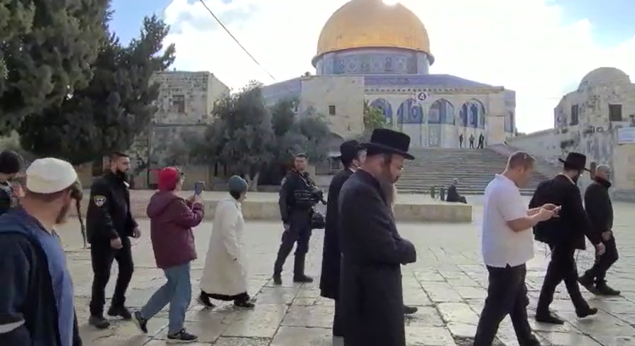 יהודים בהר הבית, הבוקר