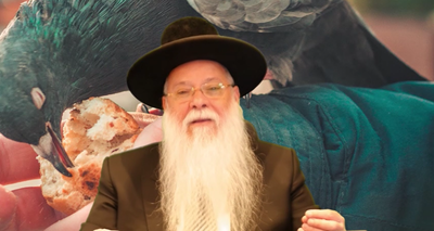 הרב מרדכי מלכא על פרשת אמור • צפו