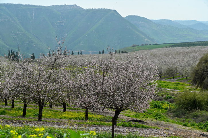 התחזית: ירידה בטמפרטורות ורוחות ערות